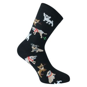 Lustige verspielte Hunde Motiv Socken - 2 Paar